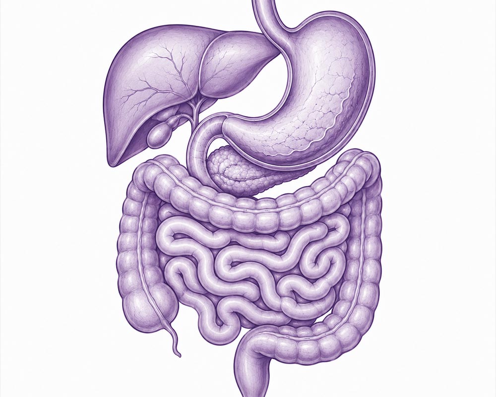 Gastroenterologista em BH